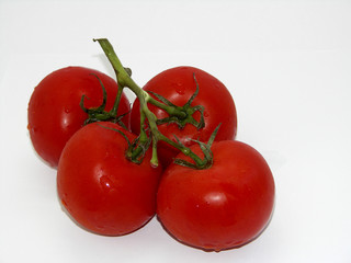 tomaten