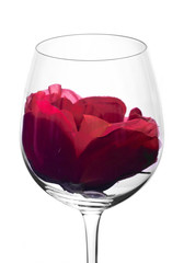 wine glasses and flower