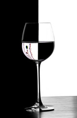 domino christmad wine glass