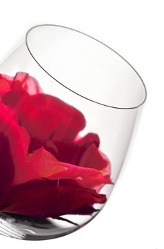 wine glasses and flower