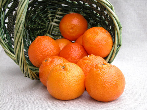 tangerines