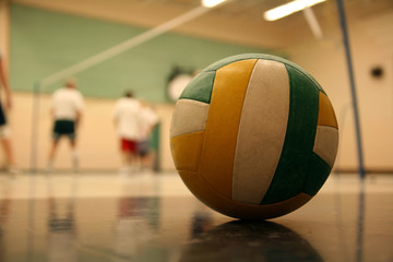 volleyball 002 ball