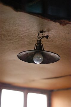 bulb