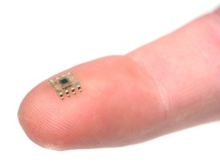 microchip on a fingertip