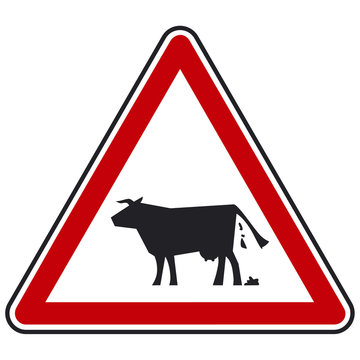 attention animaux domestiques