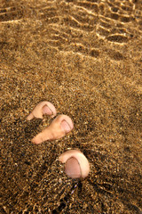 cadaver enterado en la playa