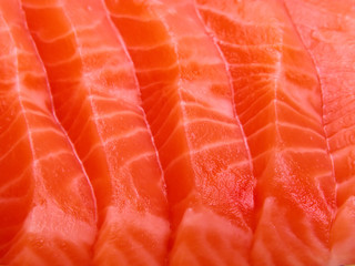 salmon meat close-up