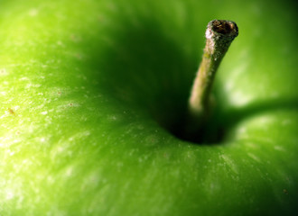 fresh apple macro