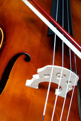 the cello and the bow