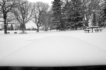 snowy picnic tables - obrazy, fototapety, plakaty