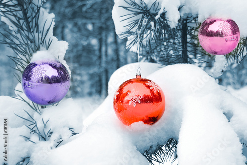 Room plaza hotel oak london york university bar cotton 1920 times history scene theater its 1974 college martini 1920s museum "new year's tree" Stock photo and royalty-free images on Fotolia.com - Pic 181164