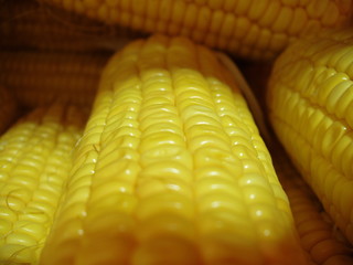 corn