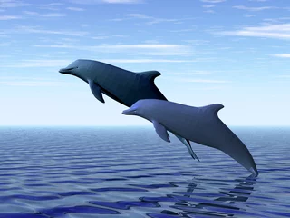 Papier Peint photo autocollant Dauphins deux dauphins