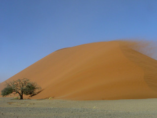 Fototapeta na wymiar dune 45