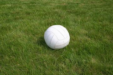 Plakat piłka na trawie