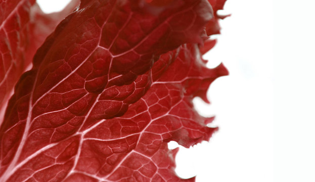 red tissue