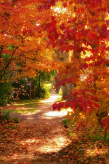 Obrazy na Szkle  jesienny spacer