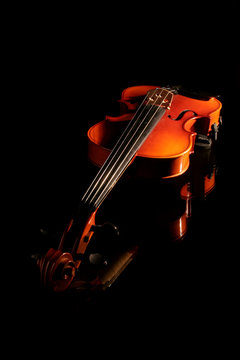violon fond noir