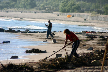 cleaning the beach