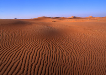 Fototapeta na wymiar wüstensand