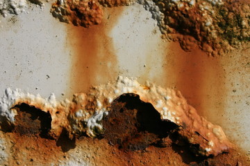 rost 1