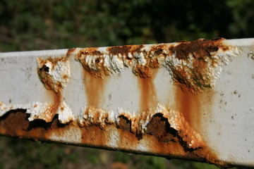 rost 2