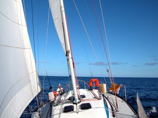 Fototapeta premium in the atlantic