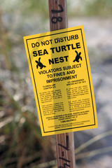 turtle nest sign