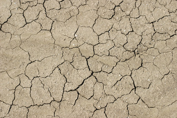 cracked earth