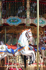 carousel horse - 204777