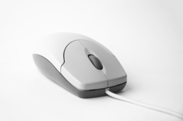 computer mouse