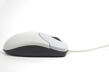 computer mouse