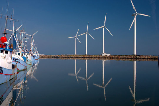 Fototapeta electricity wind mills