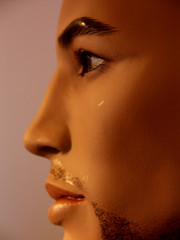 profil d'homme