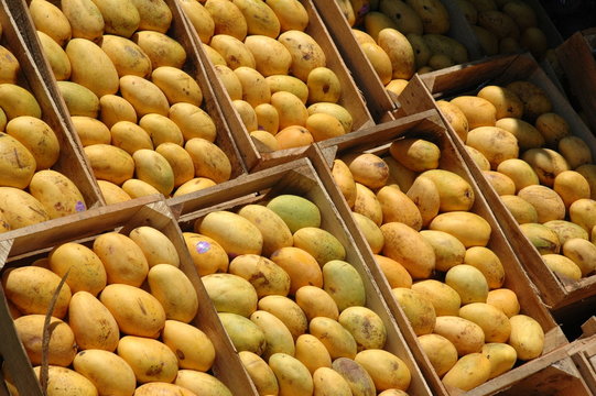 yelow mangos
