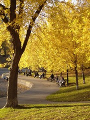 couleurs de l'automne