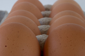 carton of eggs, macro