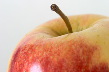 apple macro
