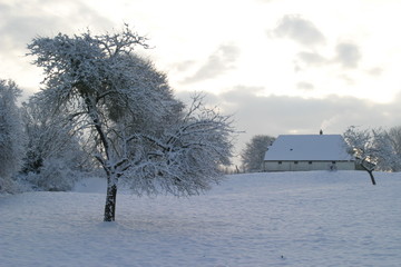 campagne sous la neige1