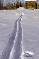 Fototapeta na wymiar winter (ski-track)