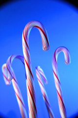 candy canes vertical