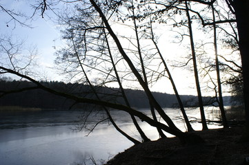 winter am grunewaldsee