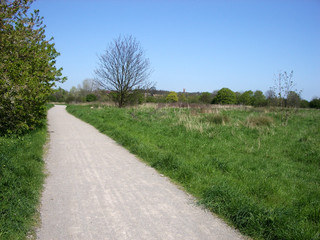 roding valley