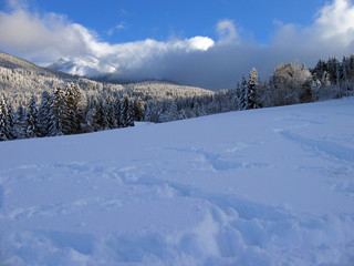 Fototapeta na wymiar snow field