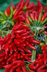 piments rouges