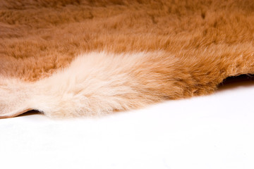 fur edge © Peter Galbraith