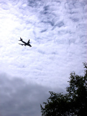 plane view