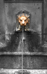 brass lionhead water fountain