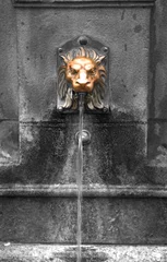 Photo sur Plexiglas Fontaine brass lionhead water fountain