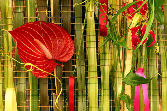 an arrangement of flora and fauna